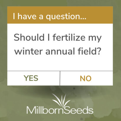 Fertilizing Winter Annuals This Spring – Yes or No?