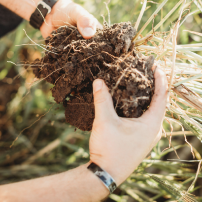 Applying the principles of soil health to an annual grazing plan