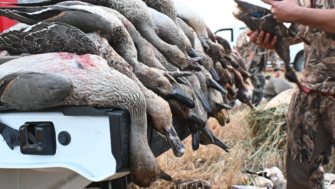 Planning for Waterfowl Season